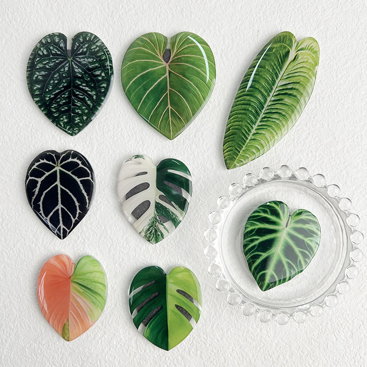 1pcs/8pcs Plant Leaves Refrige - đánh giá và giá Home Improvement Ideas