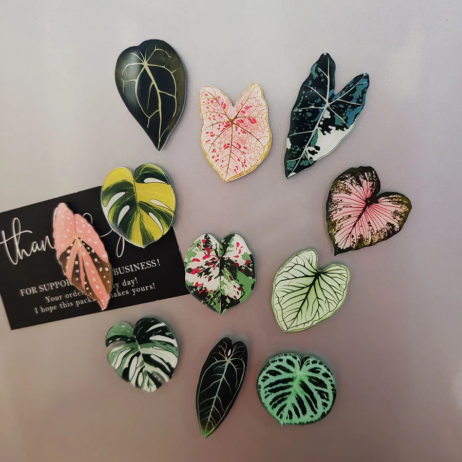 6pcs Begonia Monstera Magnetic - đánh giá và giá Home Improvement Ideas