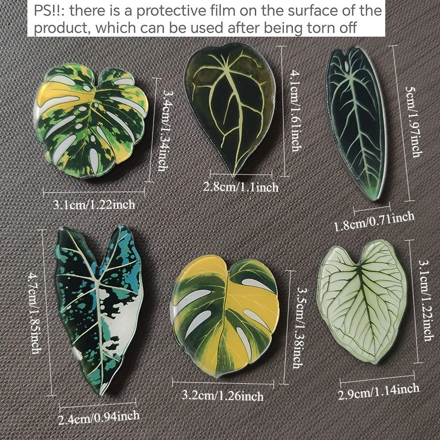 6pcs Begonia Monstera Magnetic - đánh giá và giá Home Improvement Ideas