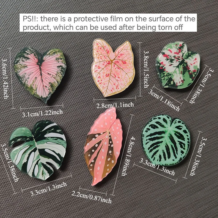 6pcs Begonia Monstera Magnetic - đánh giá và giá Home Improvement Ideas