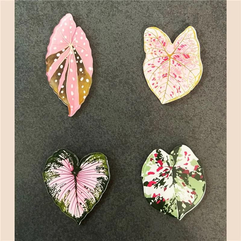6pcs Begonia Monstera Magnetic - đánh giá và giá Home Improvement Ideas